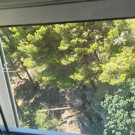 Amfora Lezhë